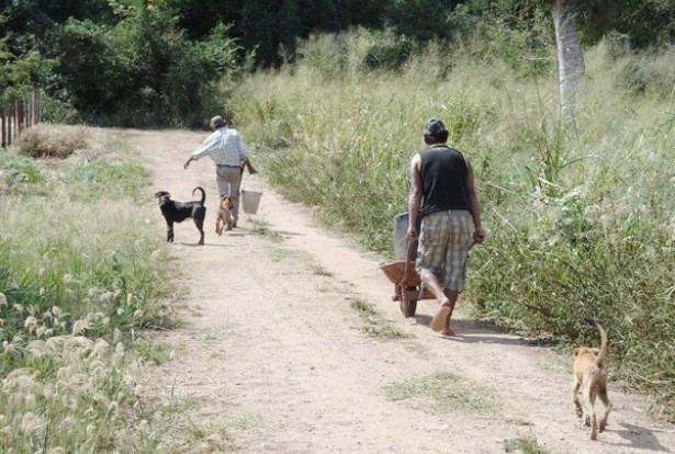 Assentados andam quilômetros em busca de água