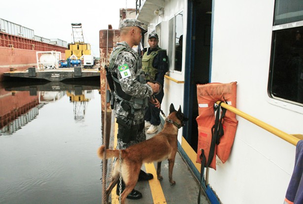 Cães