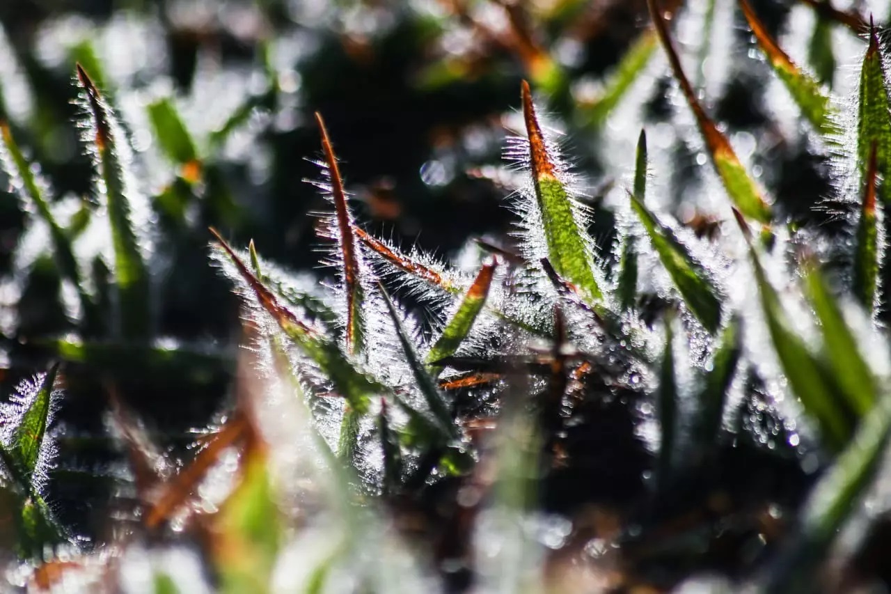 Frio N O D Tr Gua E Mato Grosso Do Sul Registra M Nima De C E Geada